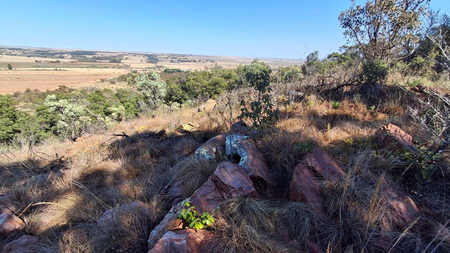 Commercial Property for Sale in Swartruggens North West